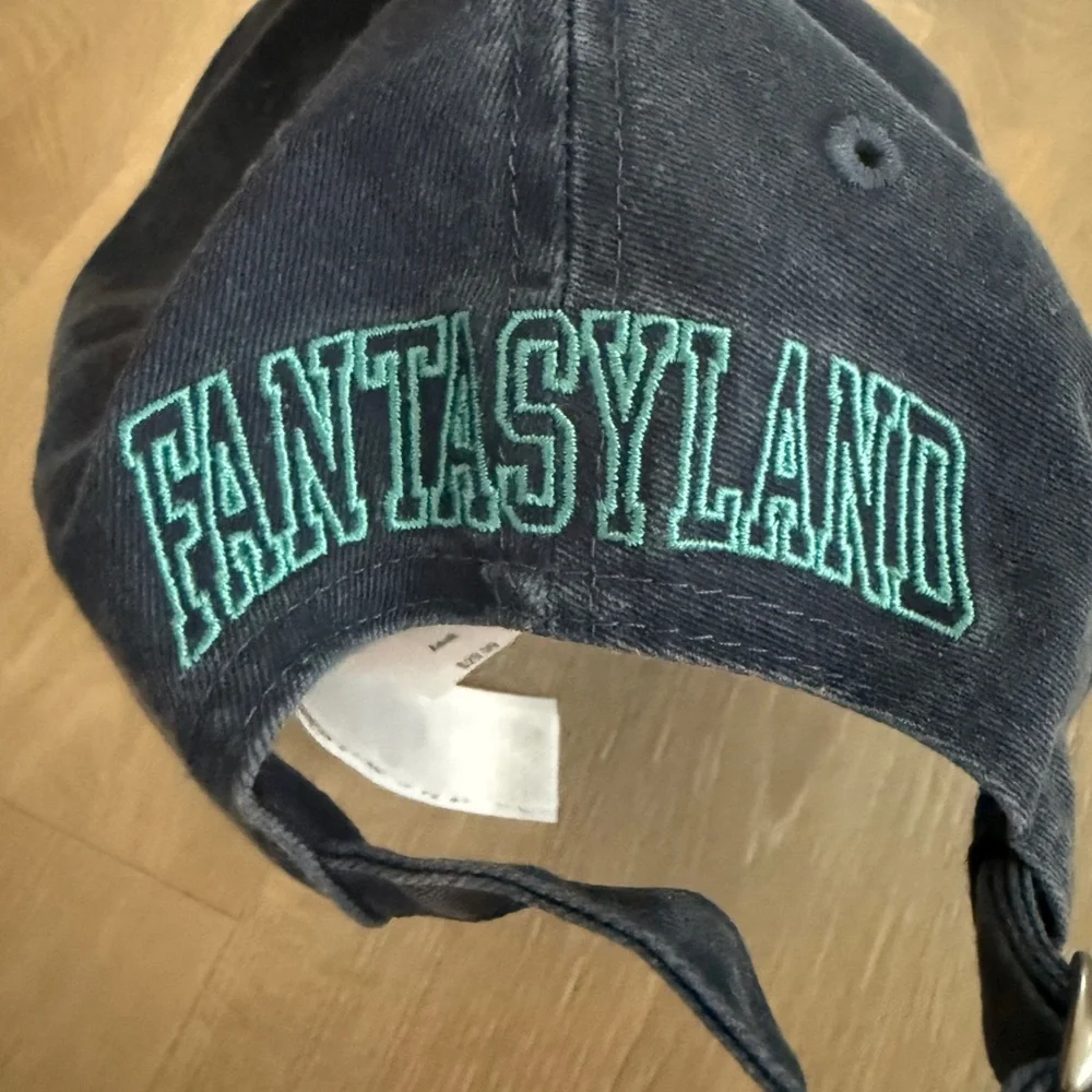 Disney Fantasyland Hat NWT